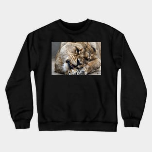 Löwe am Knochen /  Swiss Artwork Photography Crewneck Sweatshirt